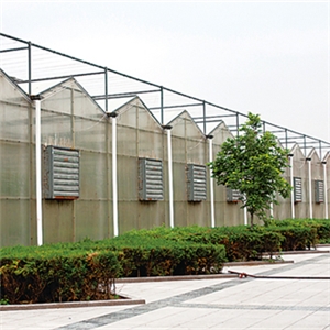 鋼結構大棚